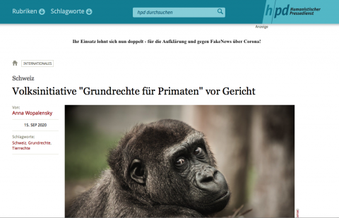 Printscreen hpd-Artikel