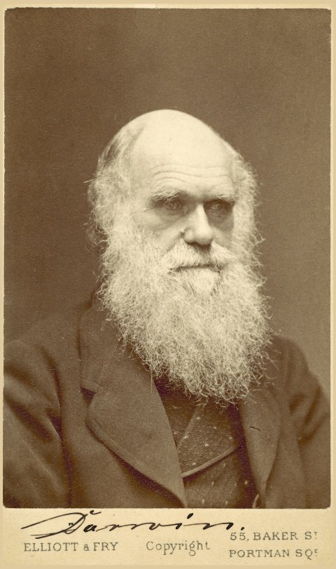 Foto Charles Darwin